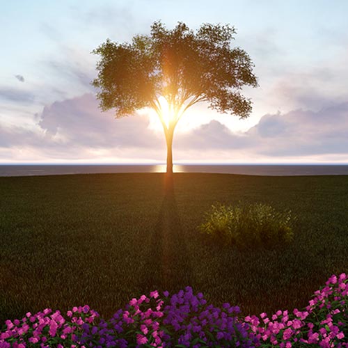 tree2